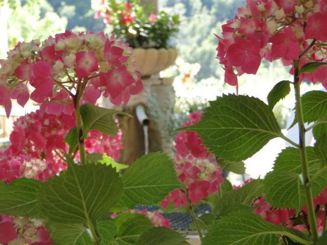 Les Florets Hotel Gigondas Exterior photo