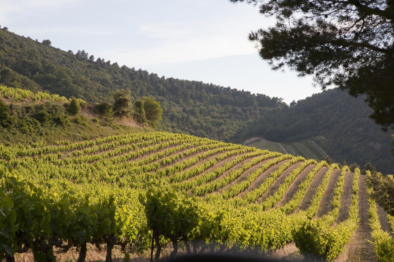 Les Florets Gigondas Exterior photo